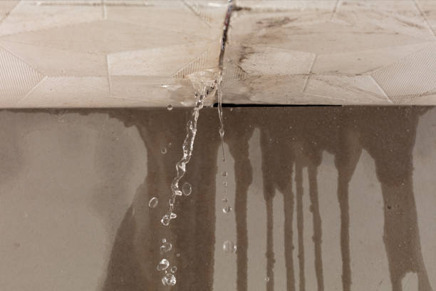 Professional Water Damage Inspection technician working in South Ozone Park, NY